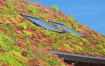 Farncombe living roof systems