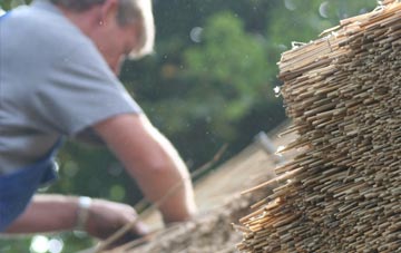 professional Farncombe thatchers